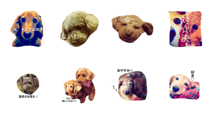 dog's fun!