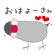 Java sparrow (Kansai dialect)