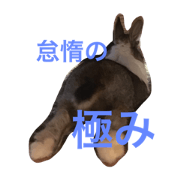 Oh! Land!