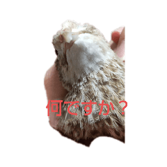 Chi_20210727195043
