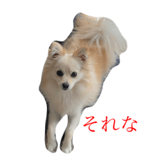 rina_20210727205707