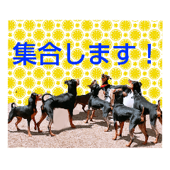 RAMUCHIN_20210726000049