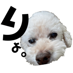 yokko_20210727213402