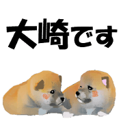Name Sticker for Sekitani or Osaki