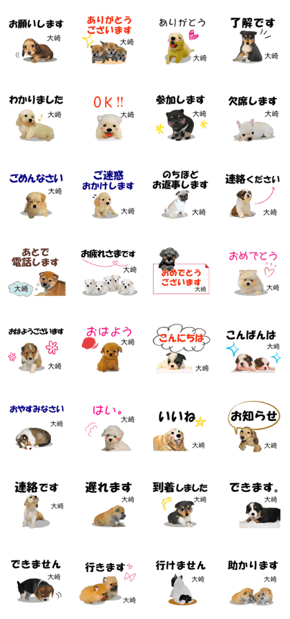 Name Sticker for Sekitani or Osaki