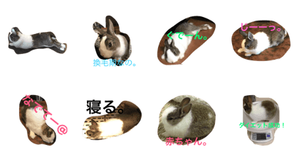 Mr.land#rabbit#land#bunny