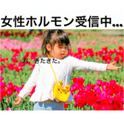TOSABEN RUNOPON