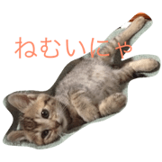 rinrincat