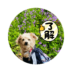 ken_20210727222833