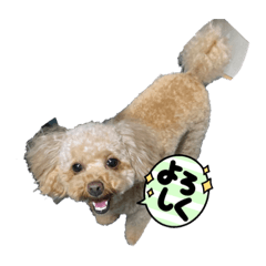 MIZUKI_20210728014138