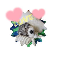 CHARM_20210728002831