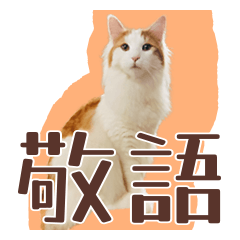 Honorific sticker for Norwegian Cat