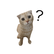 Miru's Cat