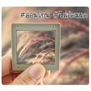 Gallery of photo with # hashtag message