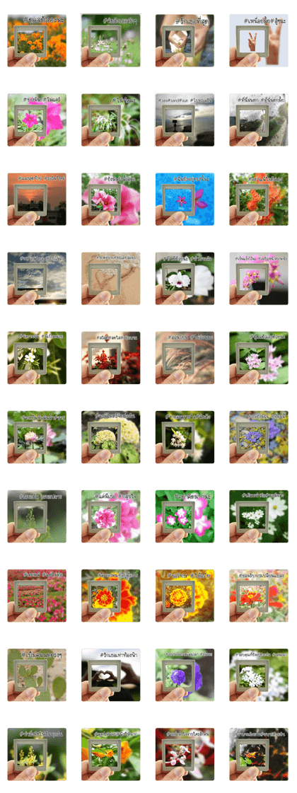 Gallery of photo with # hashtag message