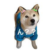 SOCCHAN