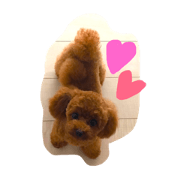 ma3
