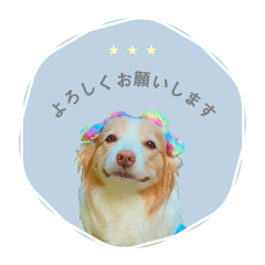 Pumiko's Sticker_sn