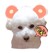 reo&meedesu