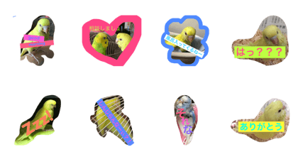 pokachan2