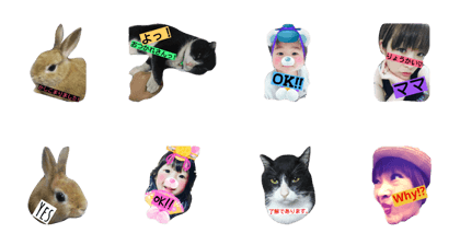IWAMOTO family