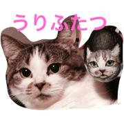 bacchan