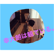 KOTARO002