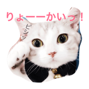 negitama**