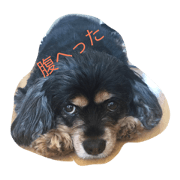 lililoa