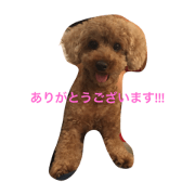 Leo1
