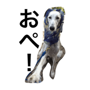 opepe2