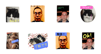 ikaya
