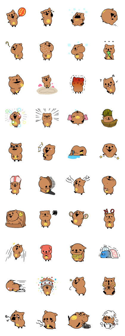 Smile Quokka to smile