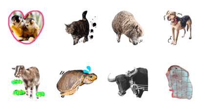 farm and animals