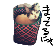 Yomo