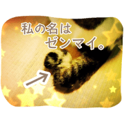 my name is ZENMAI!