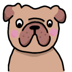 cute dog showing emotion, pug face