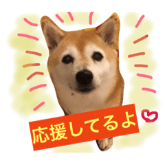 Shiba dog hinano-stamp vol.2