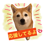 Shiba dog hinano-stamp vol.2