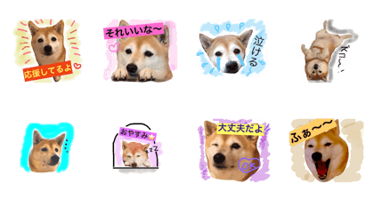 Shiba dog hinano-stamp vol.2