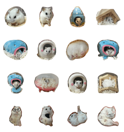 Hamster, Nico & Neko