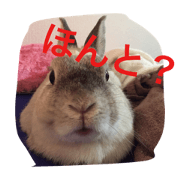 Miiiiiiii