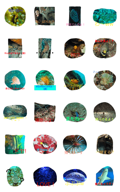 Sea creatures photo collection (my