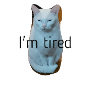 mariepan with feelings