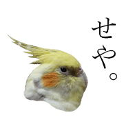 Parrot Photo sticker