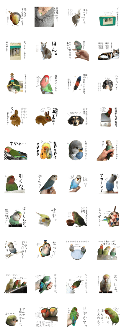 Parrot Photo sticker