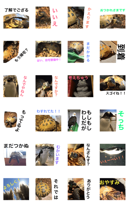 Fukucchi Sticker3!