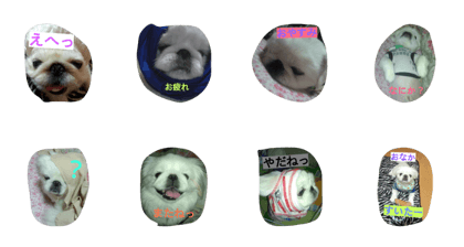 hanapechanobi