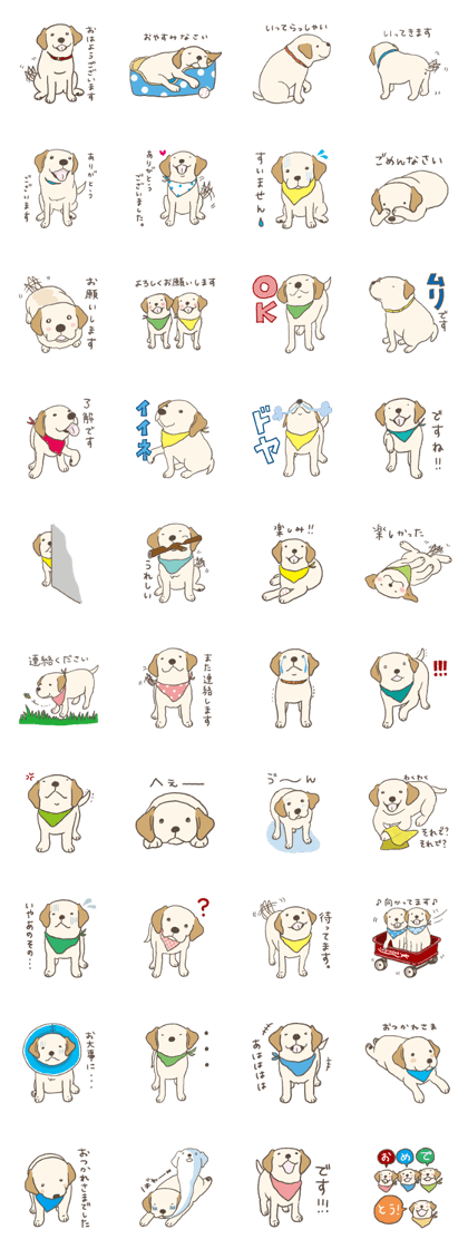 Labrador Retriever Puppy...maybe