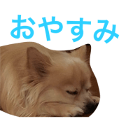 raisan